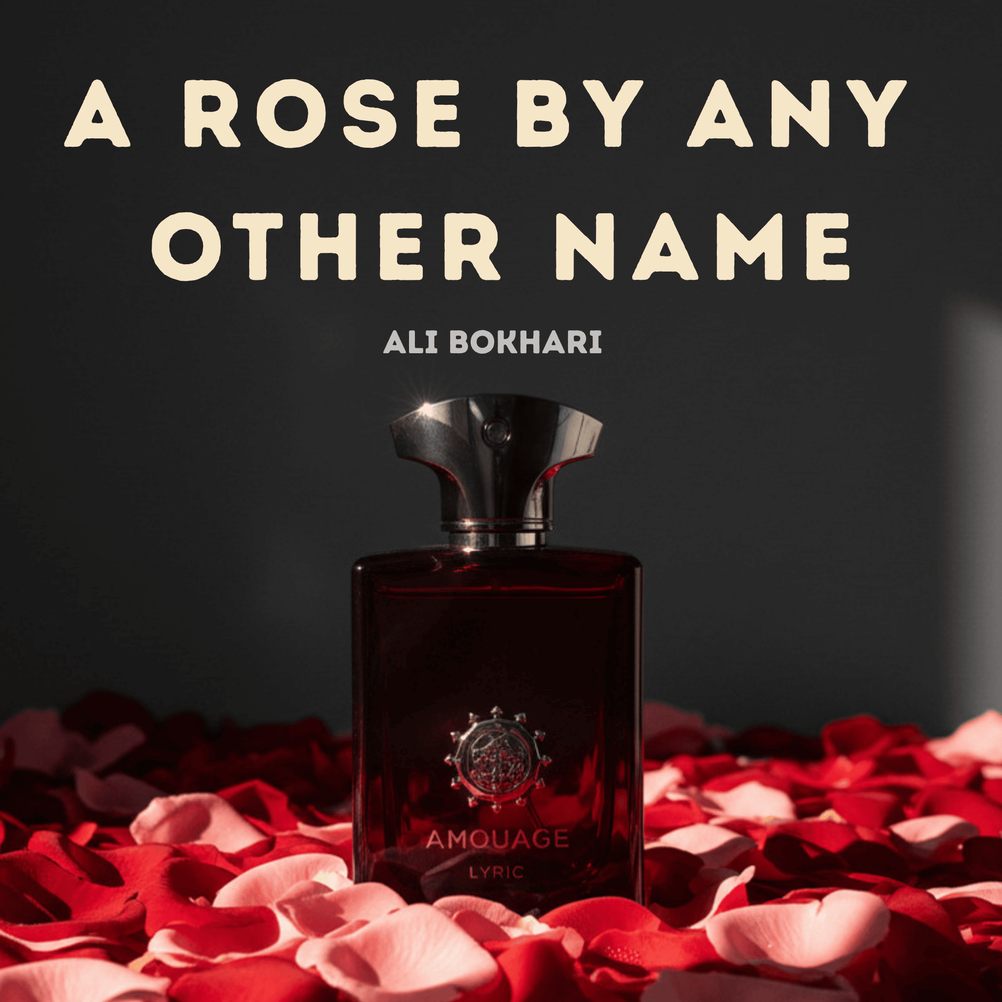 Amouage Lyric Man perfume bottle on a bed of red and pink rose petals against a dark background with the text A Rose By Any Other Name by Ali Bokhari