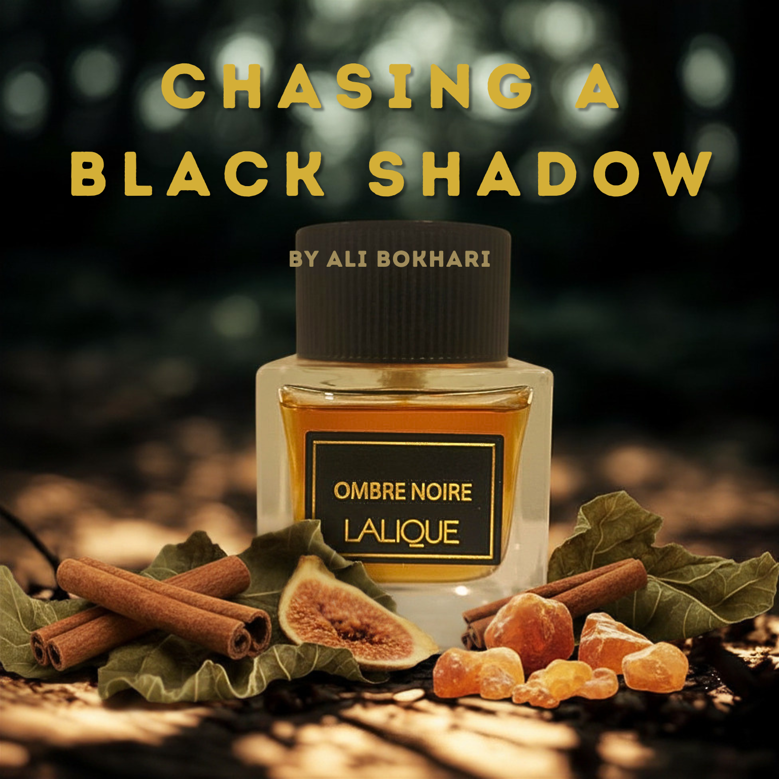 Chasing a Black Shadow: Lalique Ombre Noire, Reviewed - Ali